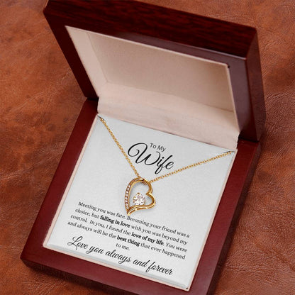 To My Wife-Meeting You Was Fate Forever Love Necklace (white background)