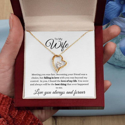 To My Wife-Meeting You Was Fate Forever Love Necklace (white background)