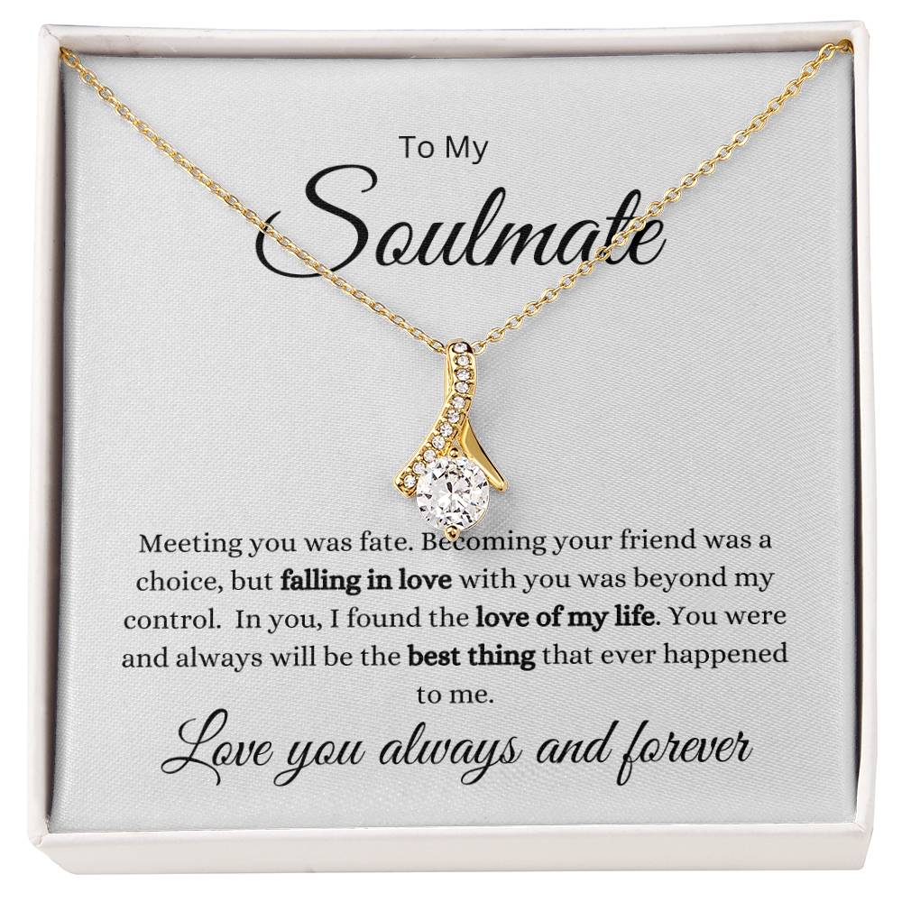 To My Soulmate-Meeting You Was Fate- Alluring Beauty Necklace (white background)