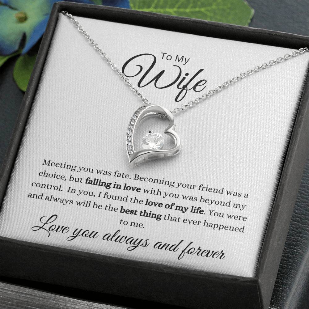 To My Wife-Meeting You Was Fate Forever Love Necklace (white background)