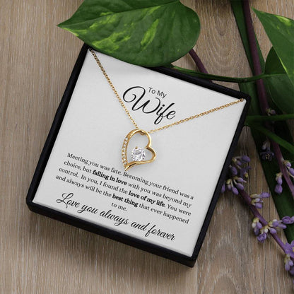 To My Wife-Meeting You Was Fate Forever Love Necklace (white background)