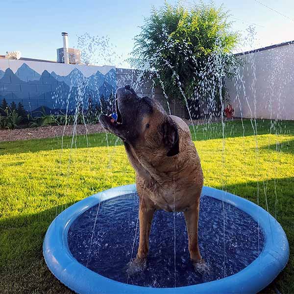 HappyPaws Splash Pad