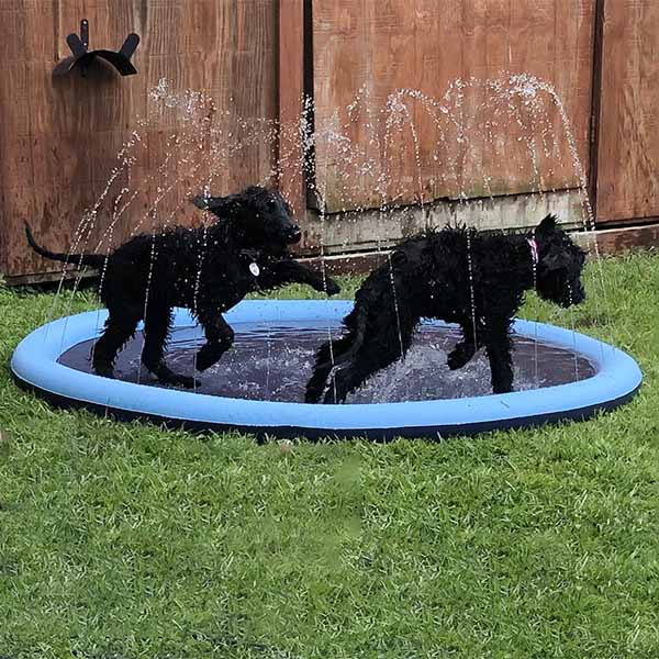 HappyPaws Splash Pad